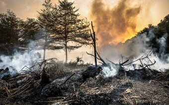 Оценка ущерба после стихийного бедствия в Якутске: отчет оценщика